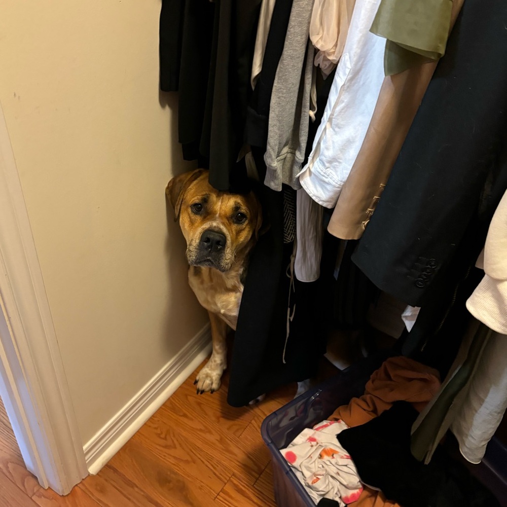 Meet your Posher, Gloria